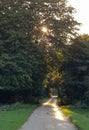 Sunlit path at evening Royalty Free Stock Photo