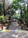 Sunlit path through a green garden, highlighting growth and progress Royalty Free Stock Photo