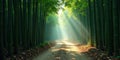 Sunlit path through a lush bamboo forest, a serene and mystical scene. Generative AI Royalty Free Stock Photo