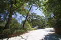 Sunlit path in Quinta da Regaleira Royalty Free Stock Photo