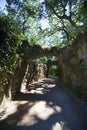 Sunlit path in Quinta da Regaleira Royalty Free Stock Photo