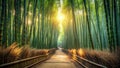 Sunlit path through a serene bamboo forest at dawn. Generative AI Royalty Free Stock Photo