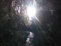 Sunlit path to your destiny Royalty Free Stock Photo