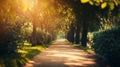 Sunlit Path Through A Tree-Lined Pathway Royalty Free Stock Photo