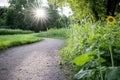 Sunlit pathway curved through lush greenery with sunflowers and sunshine Royalty Free Stock Photo
