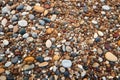 sunlit pebbles on a sandy beach