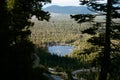 Sunlit pond surrounded by a dense forest