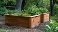 Sunlit Raised Vegetable Garden Beds in a Vibrant Backyard Setting Royalty Free Stock Photo