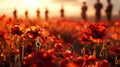 Sunlit Reverence: Poppies Adorned Field, Silhouettes Saluting for Veterans Day