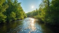 Sunlit river flows through lush green forest in the summer light Royalty Free Stock Photo