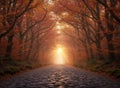A sunlit road lined with trees, creating a serene and inviting atmosphere Royalty Free Stock Photo