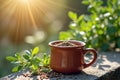 Sunlit rustic coffee cup with seeds on stone ledge in garden setting Royalty Free Stock Photo