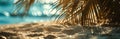 Sunlit Sands Wallpaper and Design, Beach Scene with Palm Shadows, Generative AI