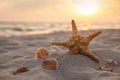 Sunlit sandy beach with sea star and shells at sunset, space for text