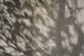 Sunlit scene featuring a cement surface with beautiful shadows created by the tree leaves