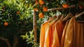 Sunlit scene of ripe oranges hanging from a tree with matching orange dresses on wooden hangers, blending fashion Royalty Free Stock Photo