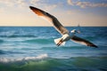 Sunlit seagull soars, ocean below, a radiant coastal spectacle