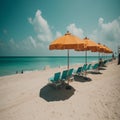 Sunlit serenity on a sandy beach