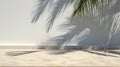 Sunlit Showcase, Palm Tree Shadows on a White Wall, Product Placement Background, Generative AI Royalty Free Stock Photo