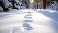 Sunlit snow-covered path with a series of footprints leading int Royalty Free Stock Photo