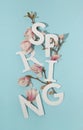 Sunlit spring letters with white and pink magnolia tree flowers and branches against pastel blue background. Minimal vertical Royalty Free Stock Photo