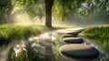 Sunlit stepping stones in a stream form a serene and peaceful natural scene Royalty Free Stock Photo