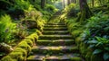 Sunlit stone steps enveloped by lush green moss and vibrant flora in a serene forest setting. Generative AI Royalty Free Stock Photo