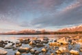 Sunlit stones on sunset, Lake Tekapo, New Zealand Royalty Free Stock Photo