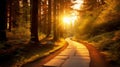 Sunlit success path in jungle Royalty Free Stock Photo