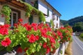 sunlit terraces with bright geraniums in a village