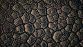Sunlit texture of dry, cracked mud. Royalty Free Stock Photo