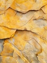 Sunlit textured pattern of yellow stones with shadow play, creating a vibrant and dynamic surface.