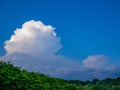 Sunlit top of the massive rain cloud, Cumulus congestus, in the blue sky over wooded hill in the early evening Royalty Free Stock Photo