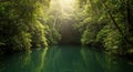 Sunlit Tropical River In Lush Green Forest Royalty Free Stock Photo
