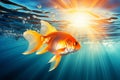 Sunlit underwater scene with a beautiful goldfish swimming in the gentle glow of the suns rays Royalty Free Stock Photo