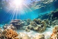 sunlit underwater scene with a disintegrating coral reef