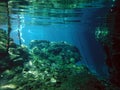 Sunlit Underwater Scenery of YucatÃÂ¡n Gran Cenote Royalty Free Stock Photo