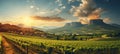 Sunlit vineyard lush grapevines and rolling hills ideal for wine products and events