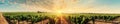 A sunlit vineyard row with a clear sky offering a tidy and expansive setting for summerthemed projects with text space