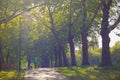 Sunlit walking path at Hampstead Heath with a few passing people