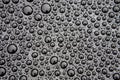 Sunlit water droplets on black car