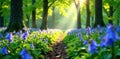 Sunlit woodland path adorned with a carpet of delicate bluebells in a serene forest setting. Generative AI Royalty Free Stock Photo
