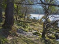 Sunlit woodland on the shore of the Lower Lake at the ancient monastic site at Glendalough in County Wicklow in Ireland Royalty Free Stock Photo