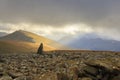 Sunlit Y Garn