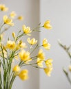 Sunlit Yellow Flowers Blooming Spring Blossoms Royalty Free Stock Photo