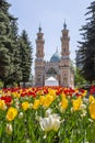 The Sunni Mosque or the Mukhtarov Mosque in Vladikavkaz, Russia