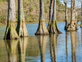 Sunnt view of the landscape over Mountain Fork at Beavers Bend State Park Royalty Free Stock Photo