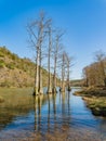 Sunnt view of the landscape over Mountain Fork at Beavers Bend State Park Royalty Free Stock Photo