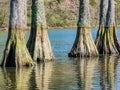 Sunnt view of the landscape over Mountain Fork at Beavers Bend State Park Royalty Free Stock Photo