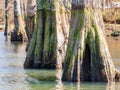 Sunnt view of the landscape over Mountain Fork at Beavers Bend State Park Royalty Free Stock Photo